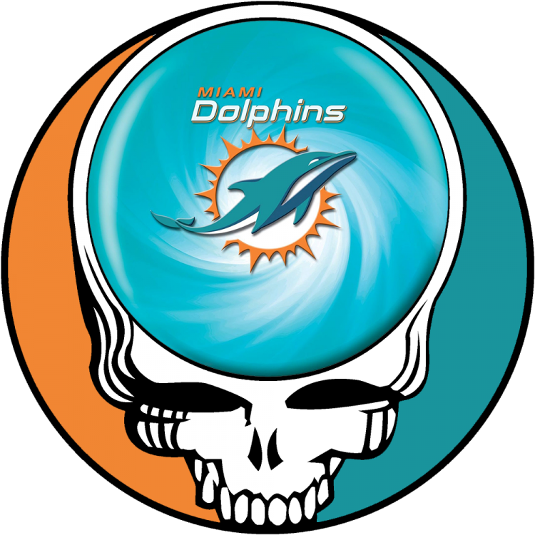 Miami Dolphins skull logo iron on transfers